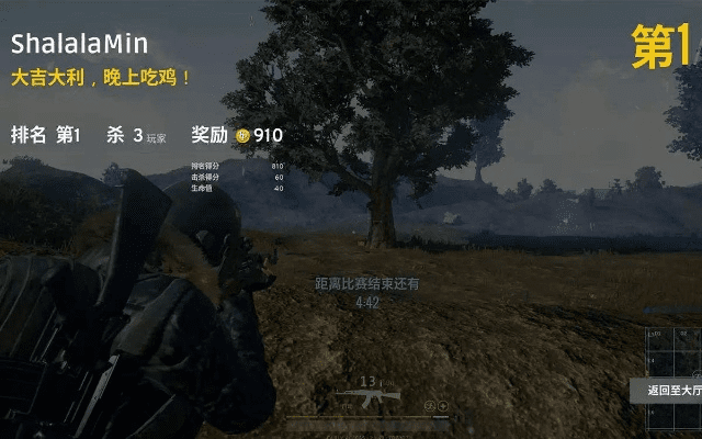 单机版旧吃鸡及怎样下载官方净网卫士,可靠评估说明&3D_v6.773